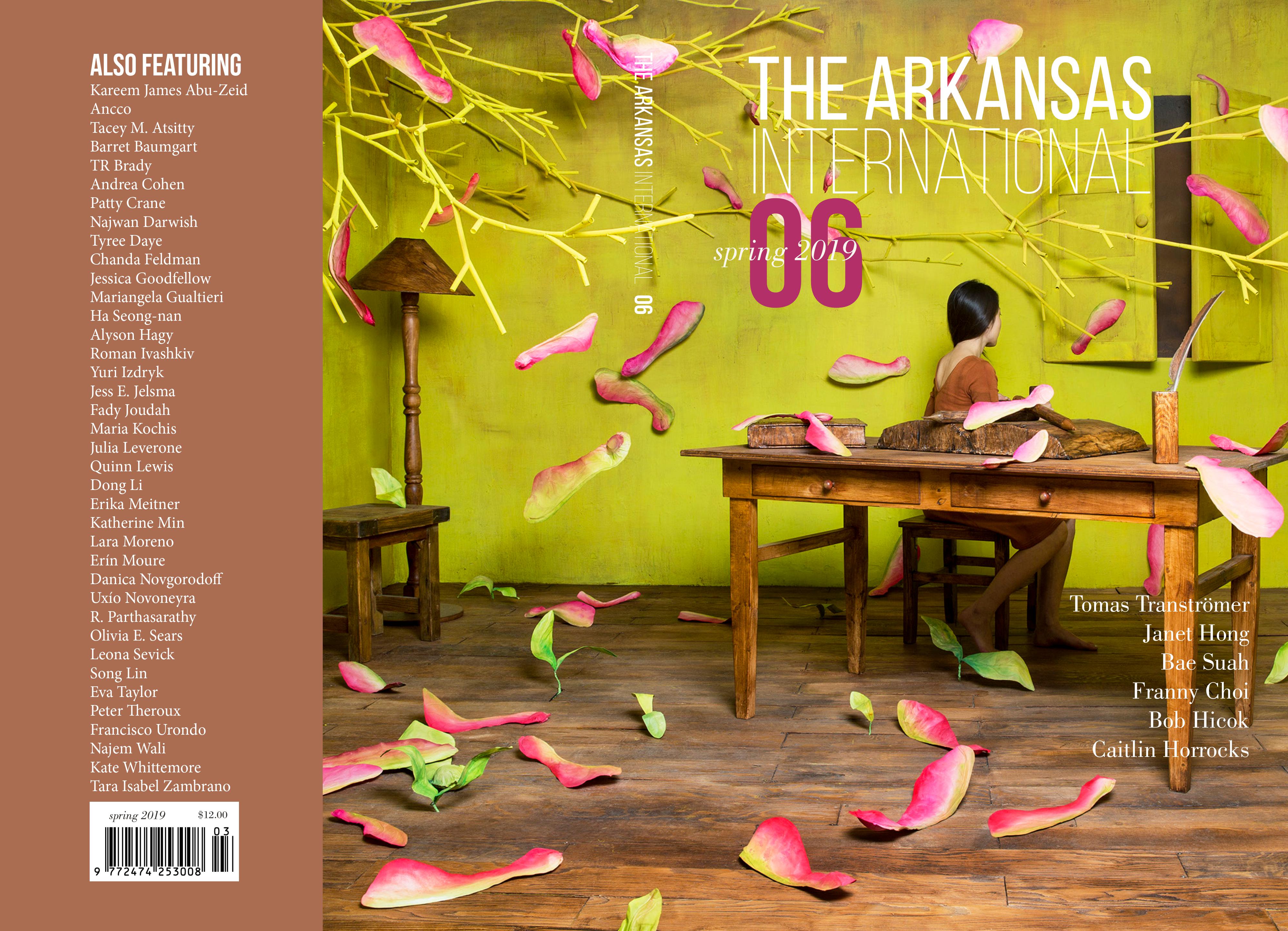 Arkansas International - Issue 6 Cover